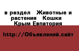  в раздел : Животные и растения » Кошки . Крым,Евпатория